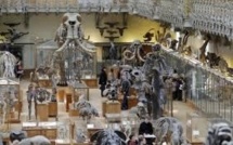 Une mission naturaliste revient de Papouasie avec 1,5 million de spécimens