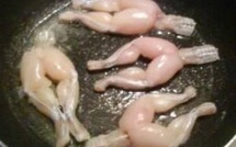 Les grenouilles d'Indonésie menacées par l'appétit des Français