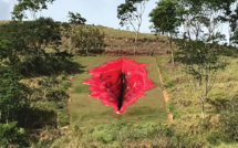 Brésil: une sculpture de vulve géante pour débattre du genre