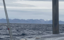 Vendée Globe: Les 'cap-horniers' se succèdent