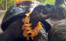 Te Ara Ui a fêté ses 193 ans à Papeari