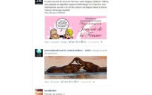 Facebook veut fidéliser ses membres avec un nouveau fil d'actualité