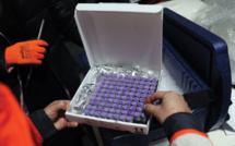 Retards de livraison du vaccin Pfizer en Europe pour "3 à 4 semaines"