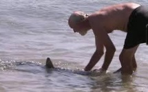 GB: Licencié après avoir défié un requin, en congé maladie