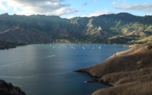 "Aire marine gérée polynésienne" : six ONG craignent une combine