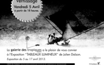 Exposition "Tableaux Lumineux" par Julien Dalzon