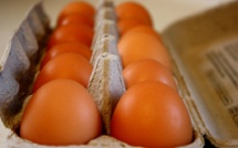 Œufs : encore "un an à un an et demi" de pénurie à Tahiti, selon de ministère de l’Agriculture