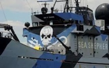 Sea Shepherd porte plainte aux Pays-Bas contre un baleinier japonais