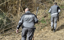 Des loups s'échappent d'un parc animalier: deux abattus, deux introuvables