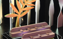 Covid-19: L'édition 2021 du Festival de Cannes reportée au mois de juillet