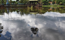 Un Australien a survécu à l'attaque d'un crocodile en desserrant sa mâchoire
