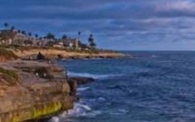 Un bébé otarie s'échoue dans un hôtel californien