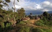 Les chasseurs de sorcières papoues frappent encore