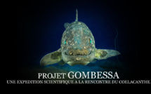 Plongée scientifique à la rencontre du mythique coelacanthe