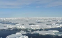 En Antarctique, le réchauffement s'accompagne d'une extension de la banquise