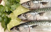 Manger du poisson prolonge l'espérance de vie des personnes plus âgées