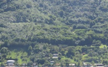 ​Un projet de groupement d'habitations à Paopao