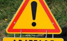 Haapiti : le fils coupe un arbre, le père meurt écrasé