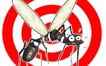 44 cas de dengue confirmés