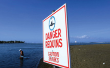 La Réunion: des écoles de surf rouvrent, huit ans après des attaques de requins