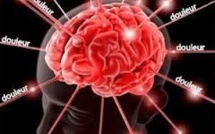 L'expression de la douleur observée dans le cerveau avec un scanner