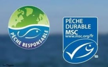 Nombre de pêcheries abusivement labellisées MSC "pêche durable"