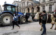 Covid et cantine: des éleveurs protestent contre les menus sans viande à Lyon