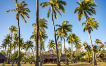 Tourisme : Ce que l'on sait des Tīteti 'Āi'a