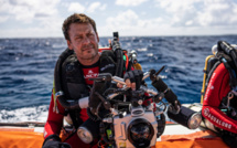 "On ne peut pas protéger le Grand requin-marteau sans le connaître"