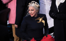 Hollywood: deux chiens de Lady Gaga volés, leur gardien blessé par balle