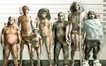 Les "petits hommes" de Florès, devenus nains pour mieux survivre?