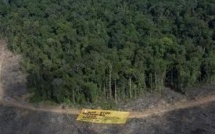 Déforestation en Indonésie: une minière canadienne suscite l'émoi