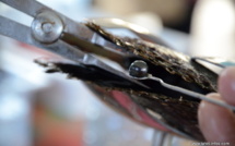 Le TPC un vaisseau fantôme avec ses amiraux