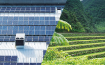 La part du renouvelable dans le mix énergétique toujours en repli en 2019