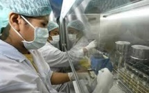 Grippe aviaire/virus H7N9 : vingt morts en Chine, selon le dernier bilan