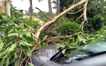 Calédonie : le cyclone Niran prive 39 000 foyers d’électricité  