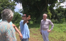 Tumara'a mise sur Avatea pour une usine de rhum en 2022