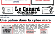 Le Canard enchaîné met une palme dans le multimédia
