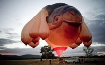 Une tortue géante à mamelles dans le ciel de Canberra: l'opinion divisée