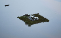 Avec la décrue, les Australiens découvrent l'ampleur des dégâts