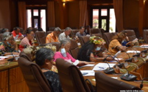 Le futur statut des collaborateurs de l'APF épluché au Cesec