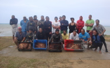 Nettoyage du lagon à Tubuai: Commune, pêcheurs et bénévoles unis contre le "Taramea"