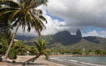 ​Morsure de requin à Ua Pou : plus de peur que de mal