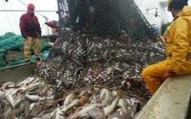 Réforme européenne de la pêche: accord au forceps entre les pays de l'UE