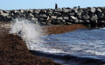 L'Australie veut faire interdire la fertilisation des mers au sulfate de fer