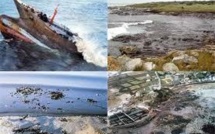 Le Sénat unanime pour inscrire le préjudice écologique dans le code civil