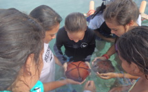 ​Les élèves au cœur de l’aire marine éducative de Bora Bora