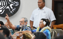 Premiers incidents à l'assemblée entre Tahoeraa et UPLD sur la résolution onusienne