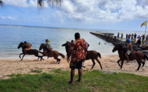 Rea, grand vainqueur des courses équestres de Avera