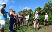 Première réunion du réseau de fermes en agroécologie